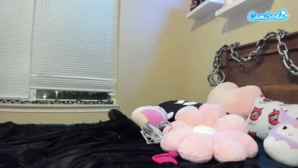 Amethystfoxx, 24 Oct 2026