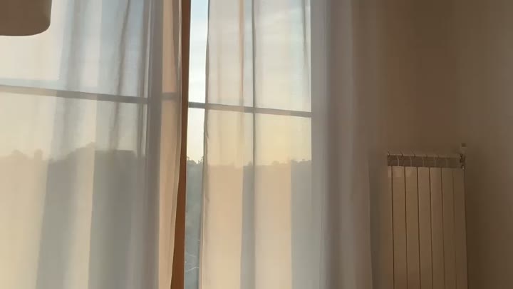 Meowmacito, 25 Oct 2026