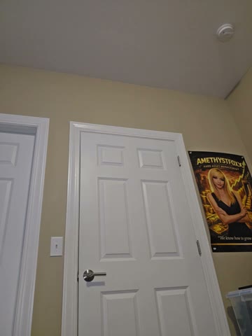 Amethystfoxx, 9 Oct 2026